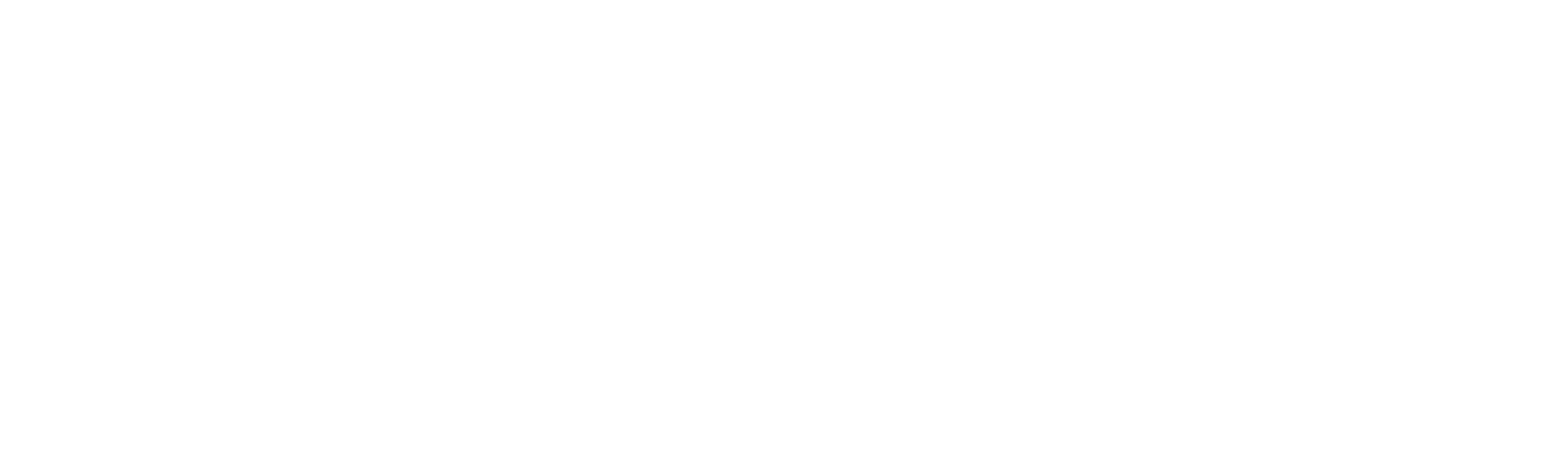 VIXO LLC